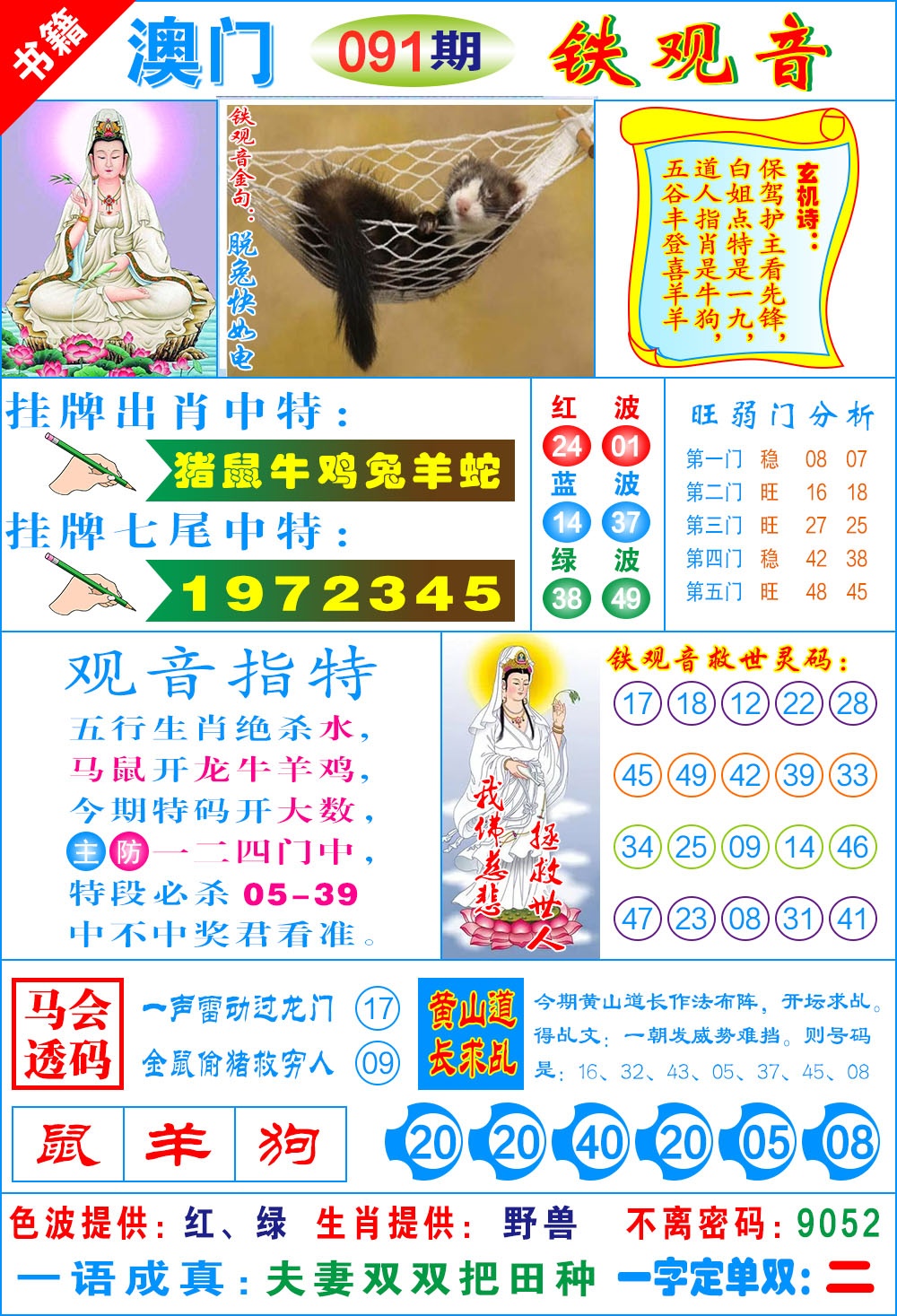 091期澳门铁观音[图]